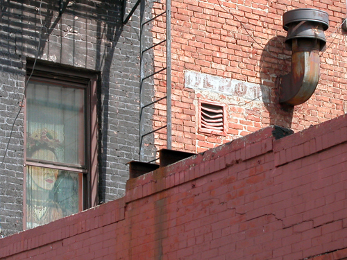 Kahlo Depot - Greenpoint, Brooklyn