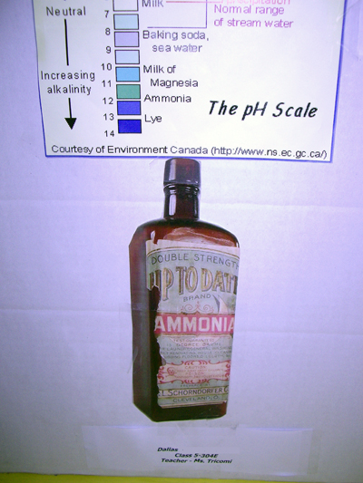 PS119 Science Fair 2007