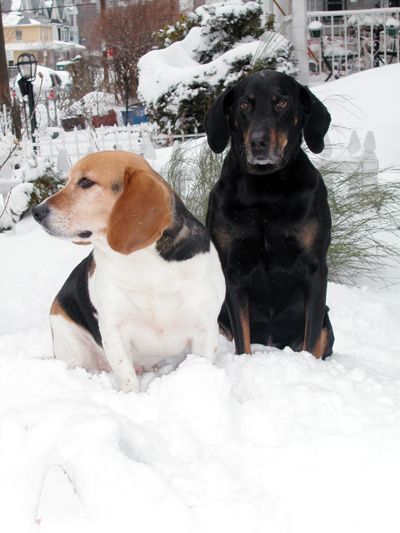 Sparky & ThelmaLu